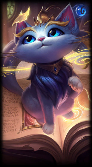 献和持续的 献和持续的