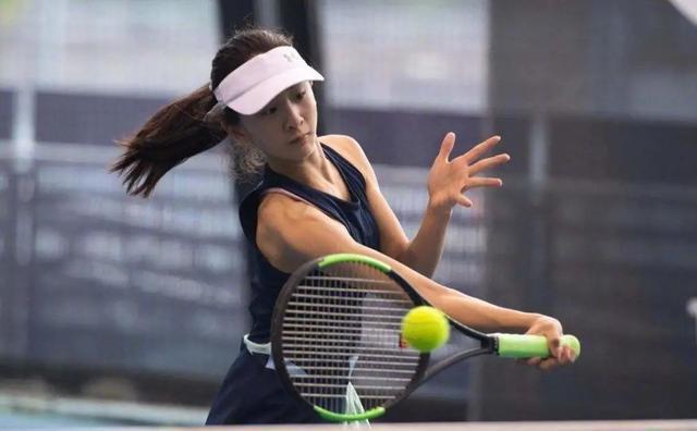 提供了参与 提供了参与