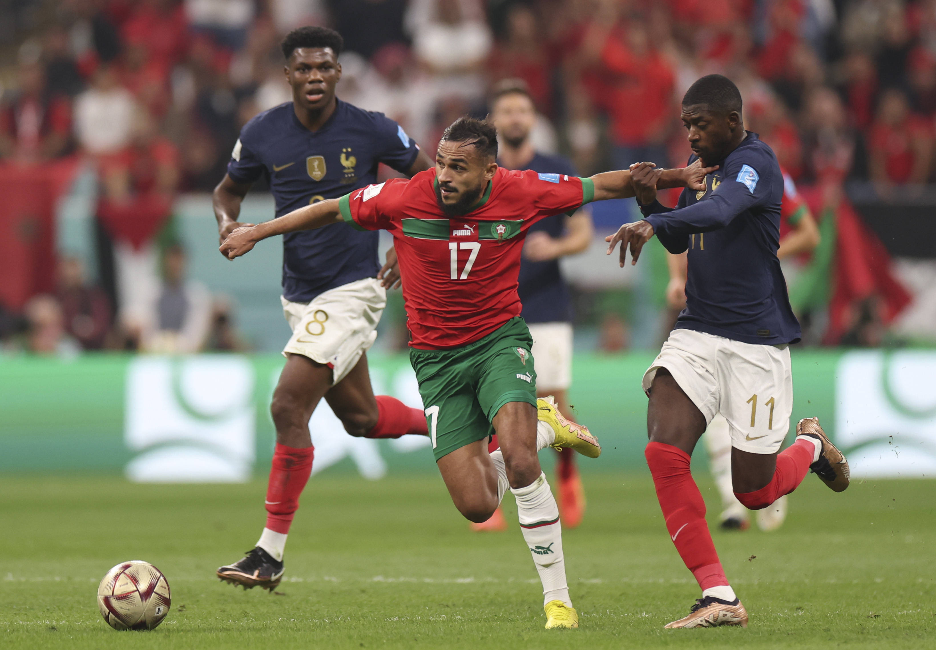 始终是篮球 始终是篮球